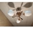 Люстра JUPITER LIGHTING N01-1725/3 золото-3х60W E27 230V N01-1725 6