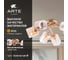 Потолочная люстра ARTE LAMP AMFORA A2318PL-6SG 6