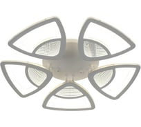 Потолочная люстра J-LIGHT ATOM 5561/120C