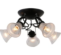Потолочная люстра J-LIGHT BIBI 3195/5C