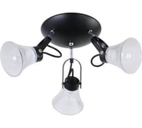 Потолочная люстра J-LIGHT BIBI 3195/3C