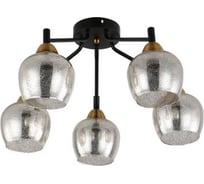 Потолочная люстра J-LIGHT BOBO 3193/5C