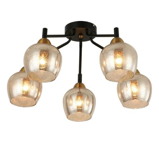 Потолочная люстра J-LIGHT BOBO 3193/5C