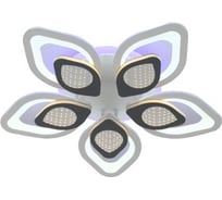 Потолочная люстра J-LIGHT CINDY 5593/120C