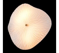 Бра Crystal lux CONTESSA AP2.2