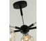 Потолочная люстра J-LIGHT FABIA 3203/5C 3