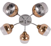 Потолочная люстра J-LIGHT FIERA 3119/5C