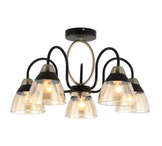 Потолочная люстра J-LIGHT FIONA 3136/5C