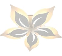 Потолочная люстра J-LIGHT FLOWER 5538/80C