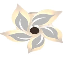 Потолочная люстра J-LIGHT FLOWER 5538/85C
