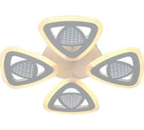 Потолочная люстра J-LIGHT GERA 5563/80C