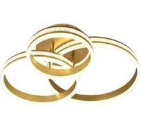 Потолочная люстра J-LIGHT FIONA 5610/295C