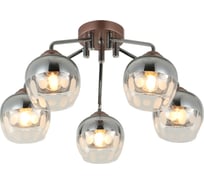 Потолочная люстра J-LIGHT HOLLY 3199/5C