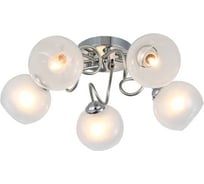 Потолочная люстра J-LIGHT HONNY 3171/5C