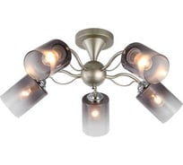 Потолочная люстра J-LIGHT ISA 3132/5C