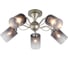Потолочная люстра J-LIGHT ISA 3132/5C 1