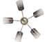 Потолочная люстра J-LIGHT ISA 3132/5C 2