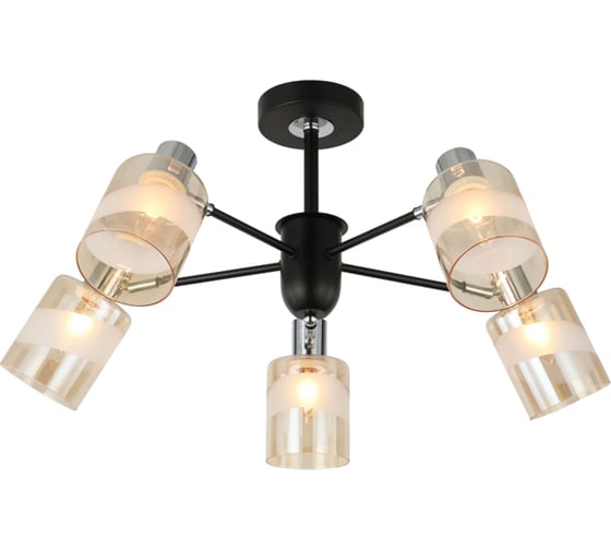 Потолочная люстра J-LIGHT LERI 3177/5C 1