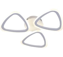 Потолочная люстра J-LIGHT MINELLA 5550/80C