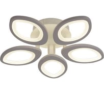 Потолочная люстра J-LIGHT MIREX 5546/100C