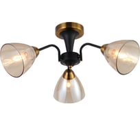 Потолочная люстра J-LIGHT NILETTI 3196/3C