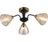 Потолочная люстра J-LIGHT NILETTI 3196/3C 1