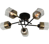 Потолочная люстра J-LIGHT NOA 3194/5C
