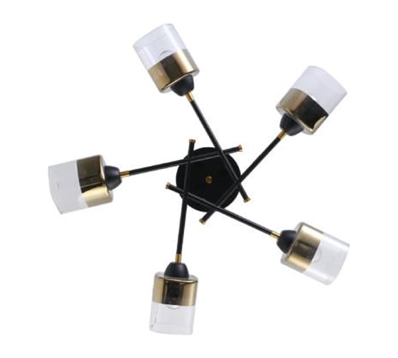 Потолочная люстра J-LIGHT NOA 3194/5C