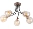 Потолочная люстра J-LIGHT PROSSO 5531/5C 1