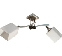 Люстра JUPITER LIGHTING N10-3323/2-2х60W E27 230V N10-3323