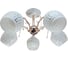 Люстра JUPITER LIGHTING N10-2031/5 белый золото-5х60W E27 230V, 30-57-57 N10-2031 1