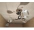 Люстра JUPITER LIGHTING черный хром-3х60W E27 230V, 21-d 50 A 1474/3 3