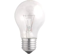 Лампа Jazzway A55 240V 40W E27 clear Б 230-40-5 3326623