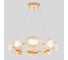 Подвесная светодиодная люстра Crystal lux FELICIDAD SP64W LED 1