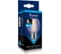 Светодиодная лампа Smartbuy (LED) FIL-G45-8Вт/6500К/E27 SBL-G45F-8-65K-E27 1