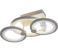 Потолочная люстра J-LIGHT RINGO 5544/80C