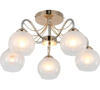 Потолочная люстра J-LIGHT SALLY 3134/5C