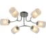 Потолочная люстра J-LIGHT SANI 3208/6C 1
