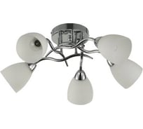 Потолочная люстра J-LIGHT TINA 3129/5C