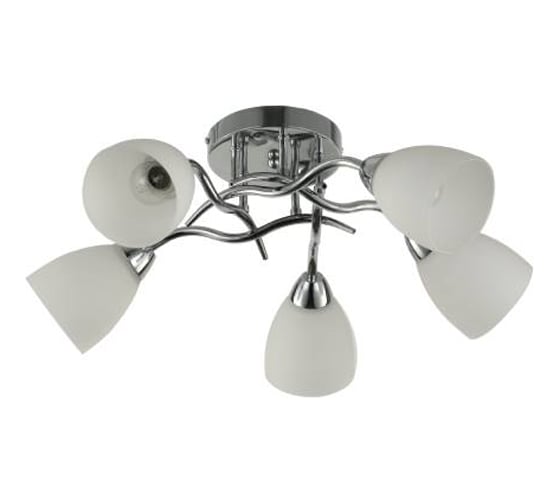 Потолочная люстра J-LIGHT TINA 3129/5C 1
