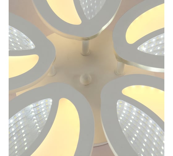 Потолочная люстра J-LIGHT TULI 5560/100C