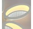 Потолочная люстра J-LIGHT TULI 5560/100C 2