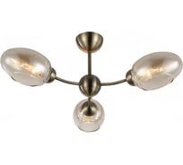 Потолочная люстра J-LIGHT UMI 3131/3C