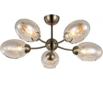 Потолочная люстра J-LIGHT UMI 3131/5C