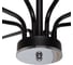 Потолочная люстра J-LIGHT VALH 2358/8C 2