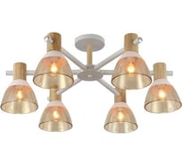 Потолочная люстра J-LIGHT VENA 3192/6C