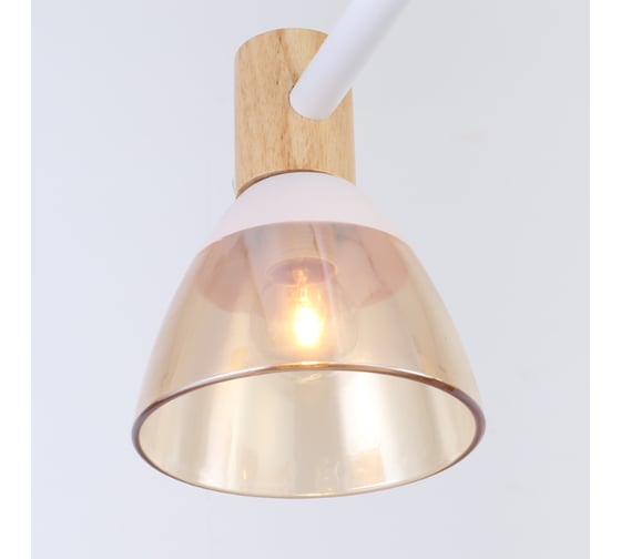 Потолочная люстра J-LIGHT VENA 3192/6C