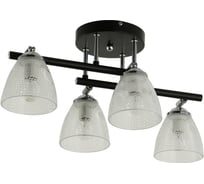 Потолочная люстра J-LIGHT WENDY 3126/4C