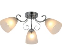 Потолочная люстра J-LIGHT WOS 3101/3C