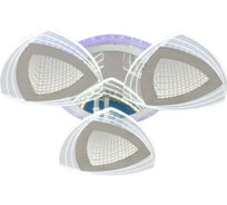 Потолочная люстра J-LIGHT ZETA 5574/80C